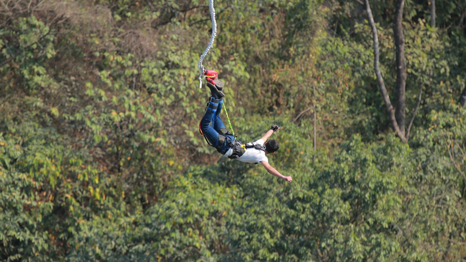 Bungee jumper rebounding on the cord above a forested river canyon