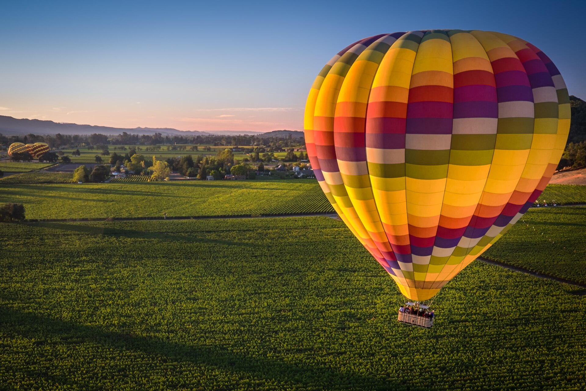 Hot air balloons rising over Napa Valley vineyards at sunrise