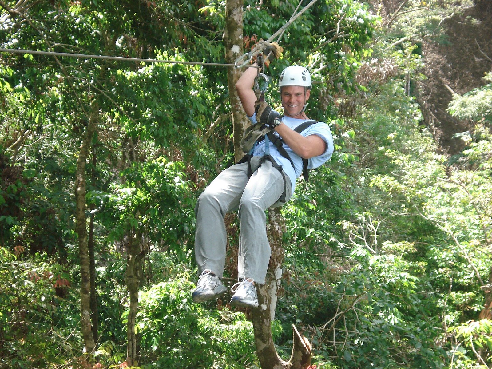 Rider crossing a forest canopy zipline in a harness and helmet