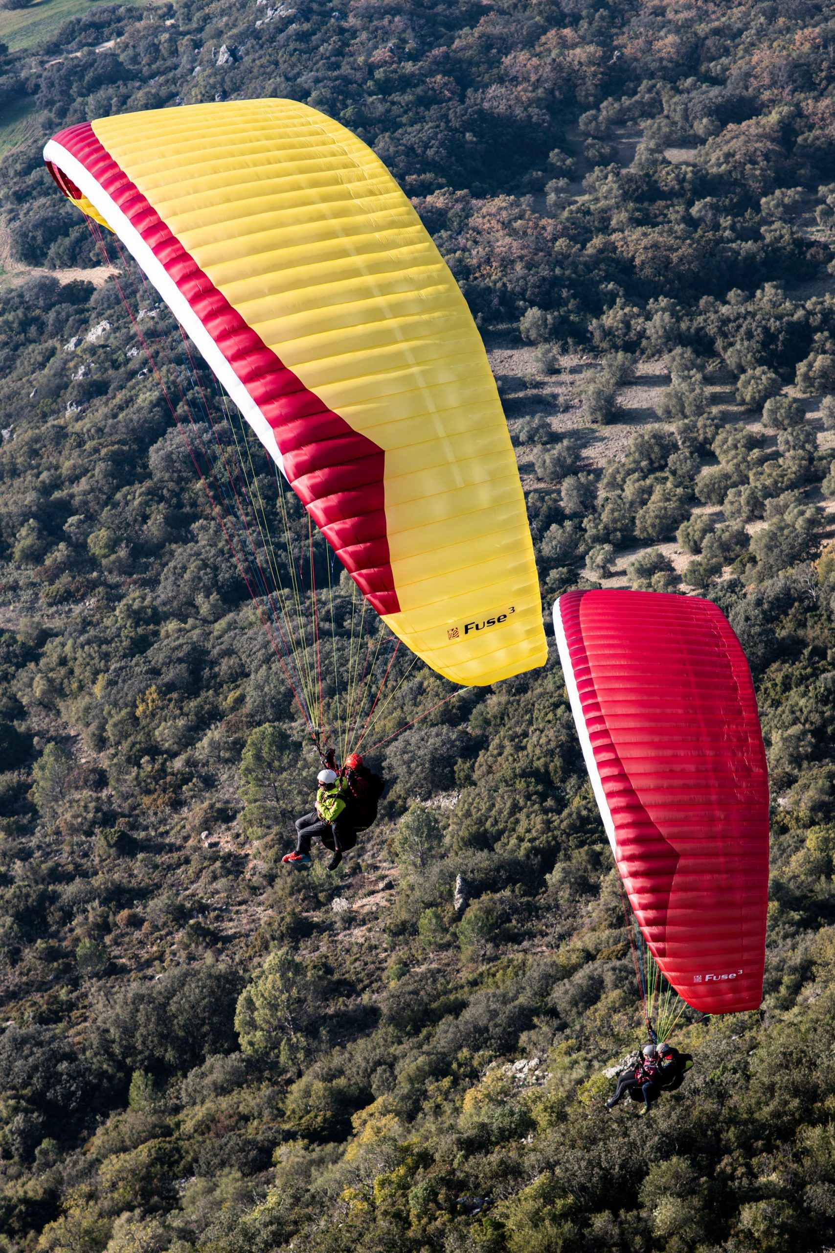 Gin Fuse 3 Pro Class Tandem