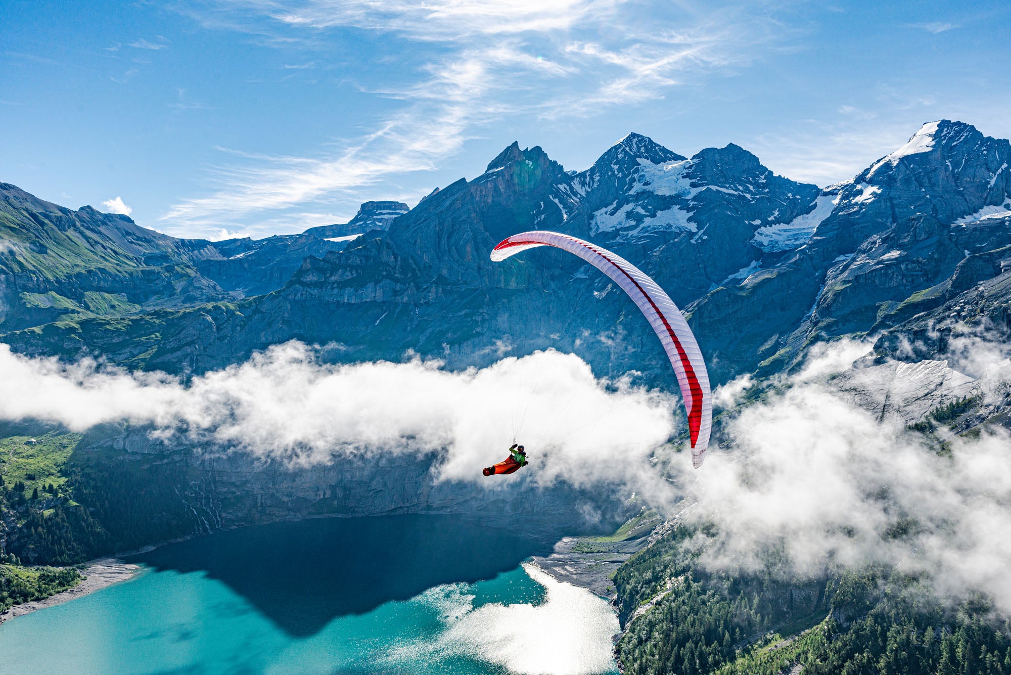 Gin Puma – Lightweight D