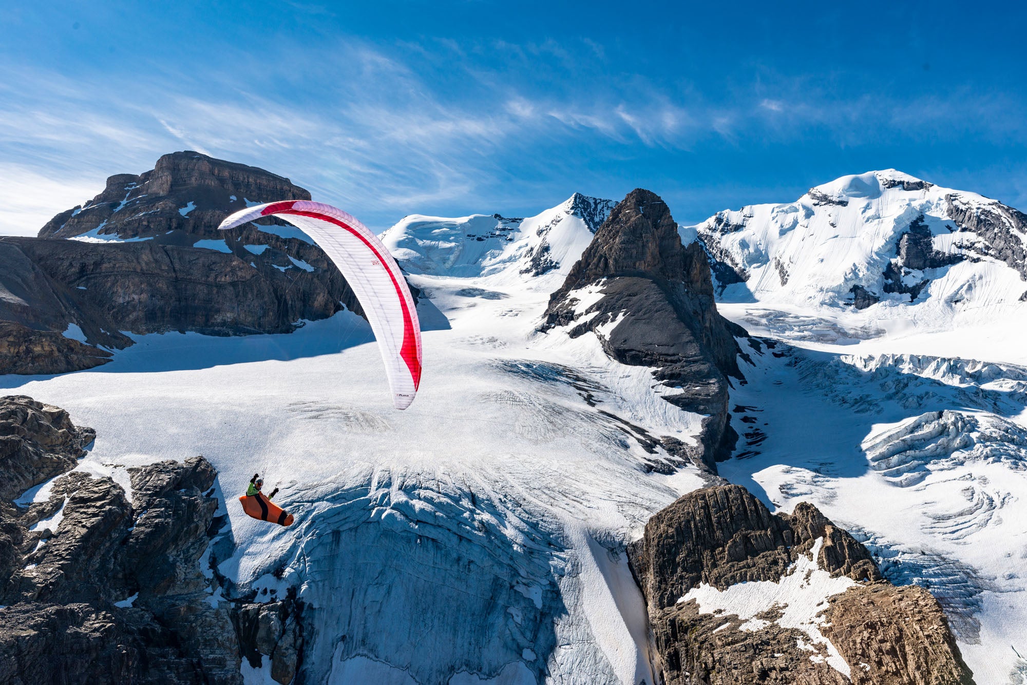 Gin Puma – Lightweight D