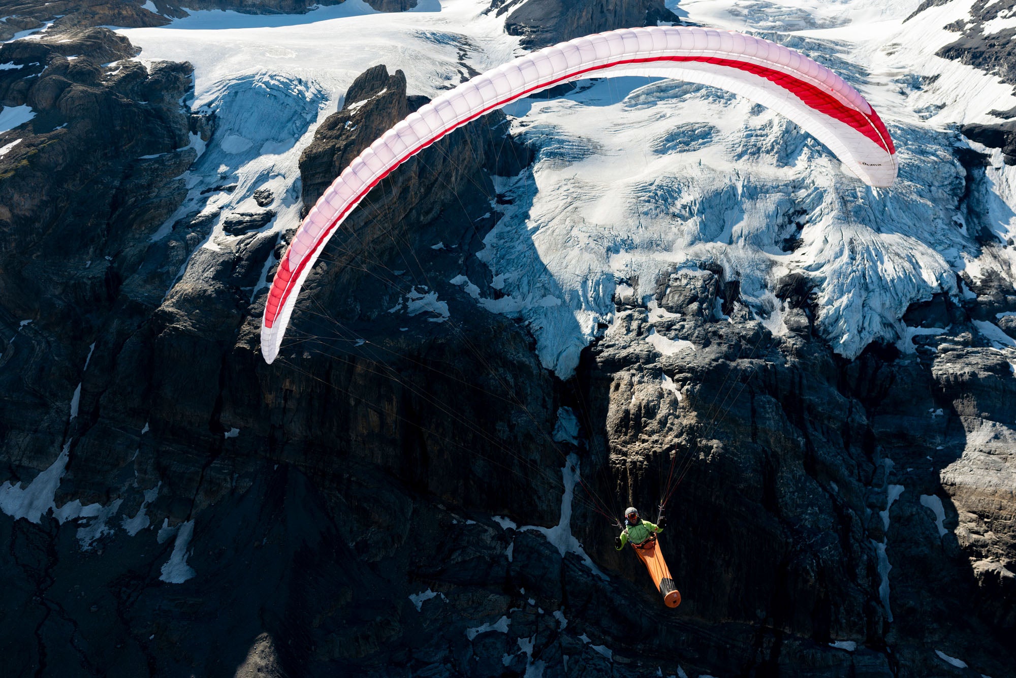 Gin Puma – Lightweight D