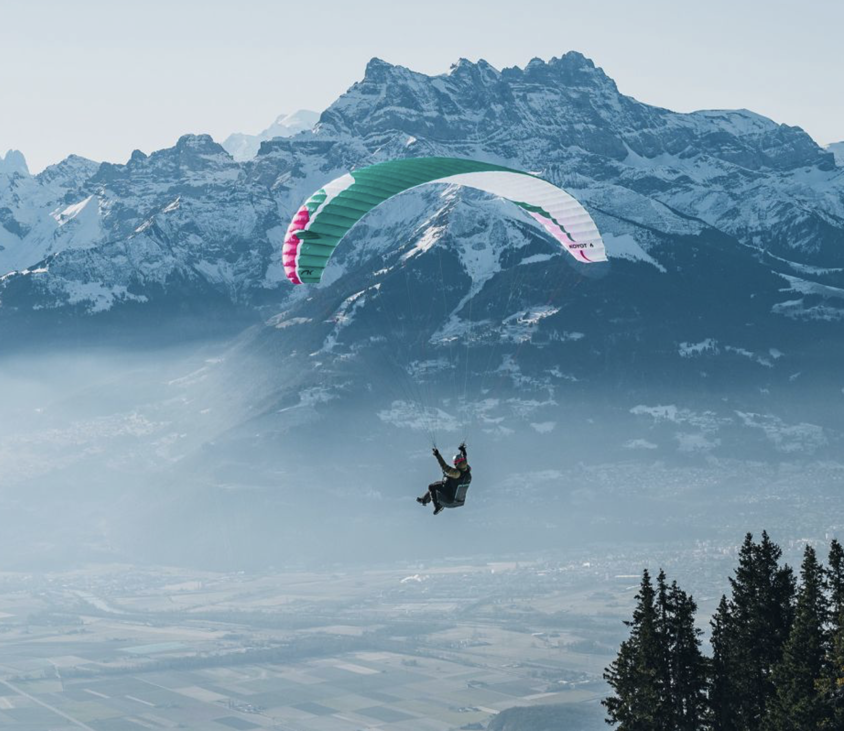 Niviuk Koyot 6 Paraglider