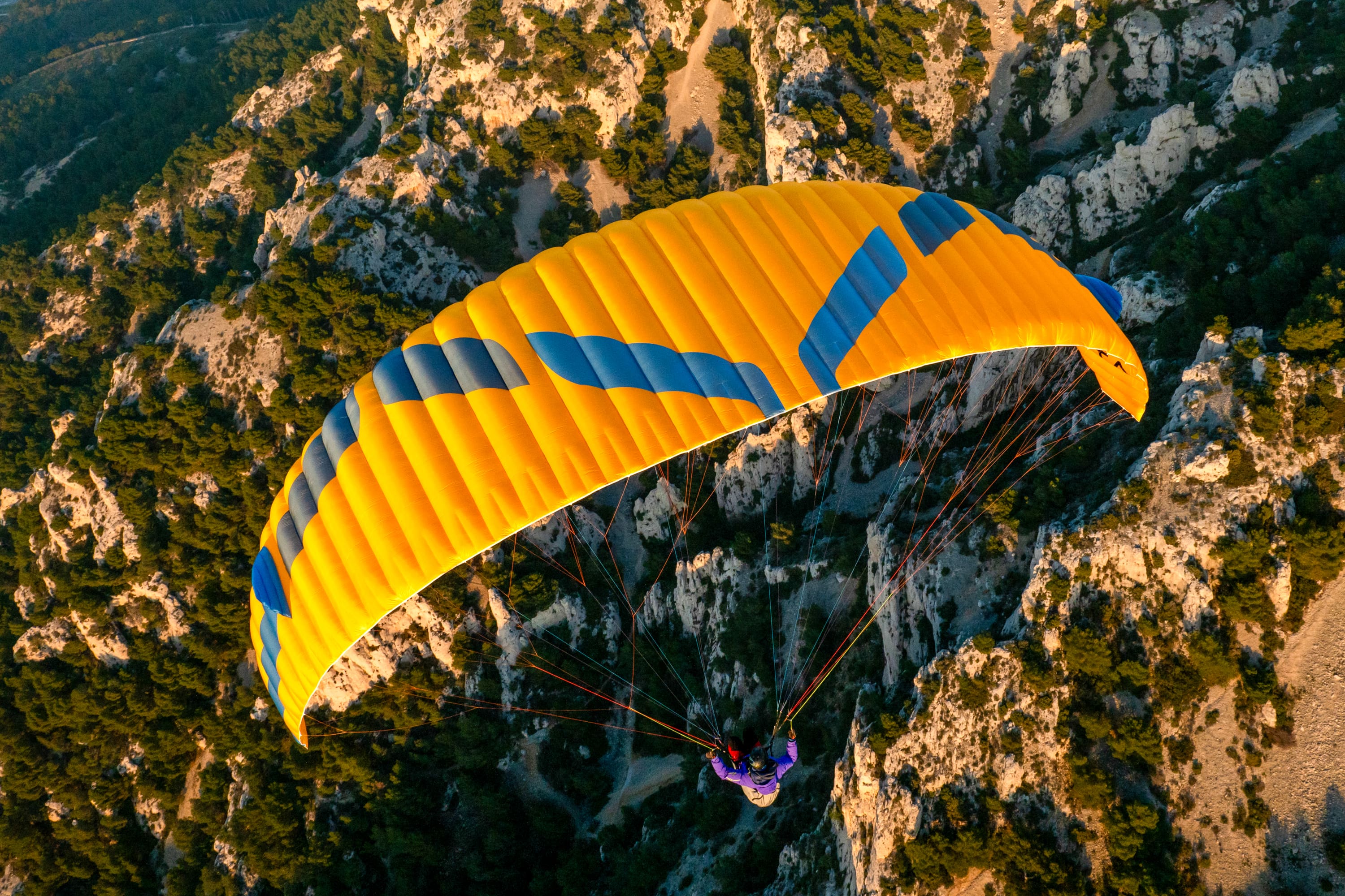 Ozone Alta GT Paraglider