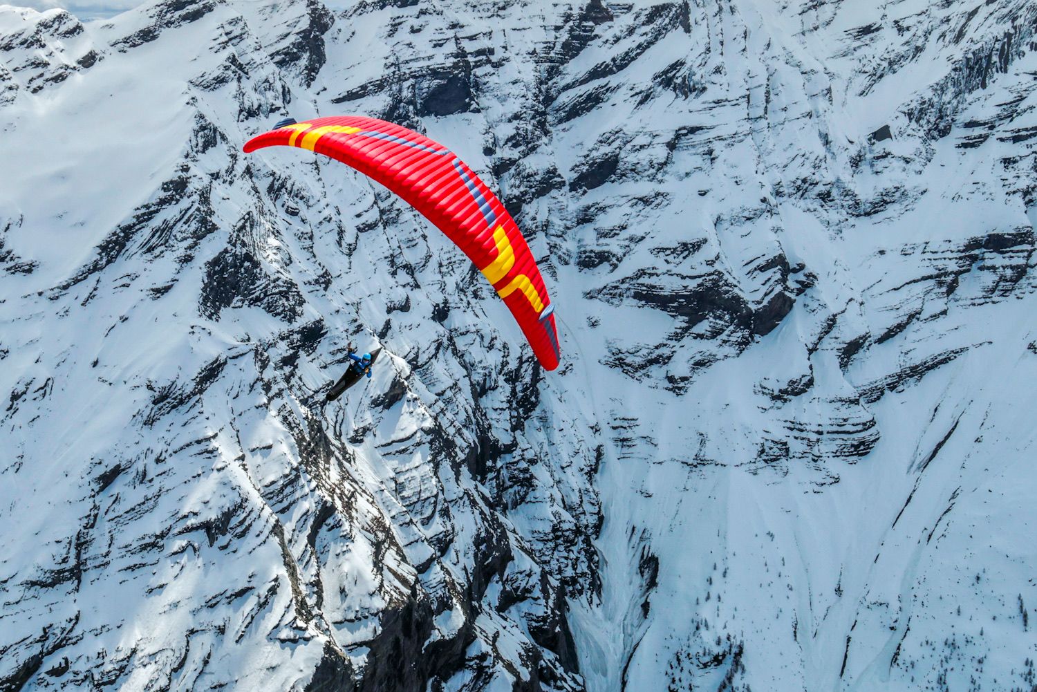 Ozone Delta 5 Paraglider