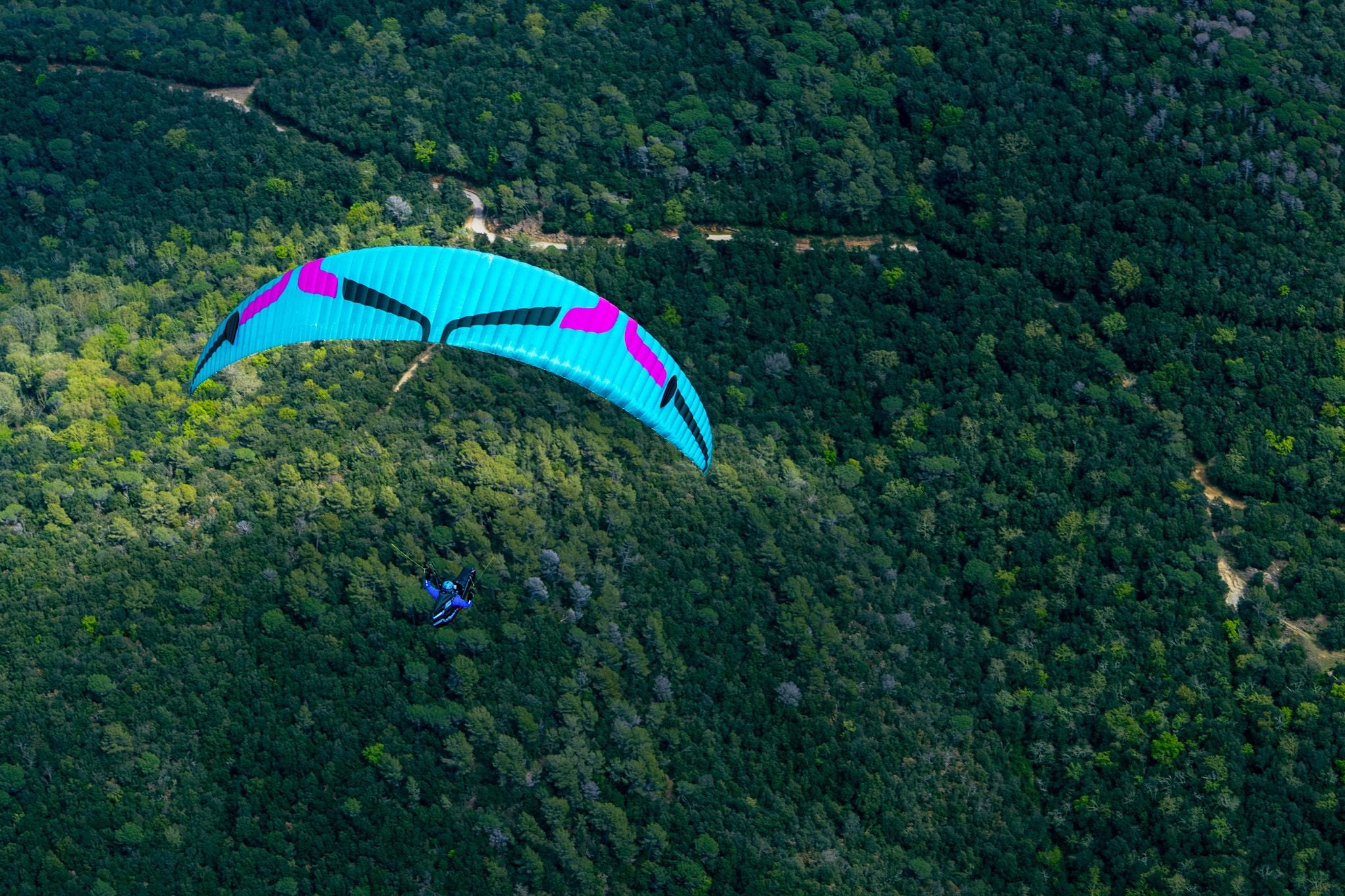 Ozone Delta 5 Paraglider
