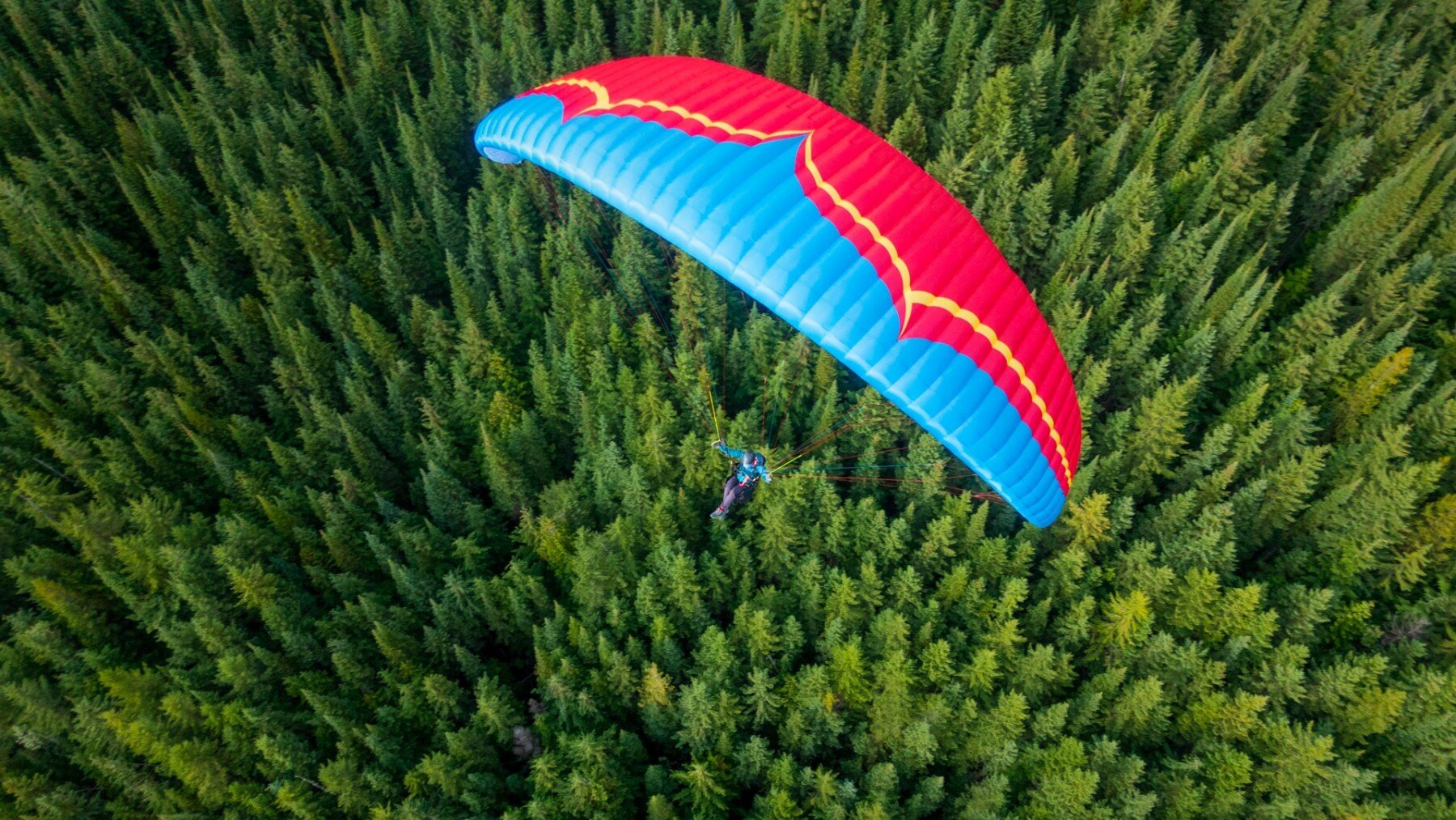 Ozone Geo 6 Paraglider