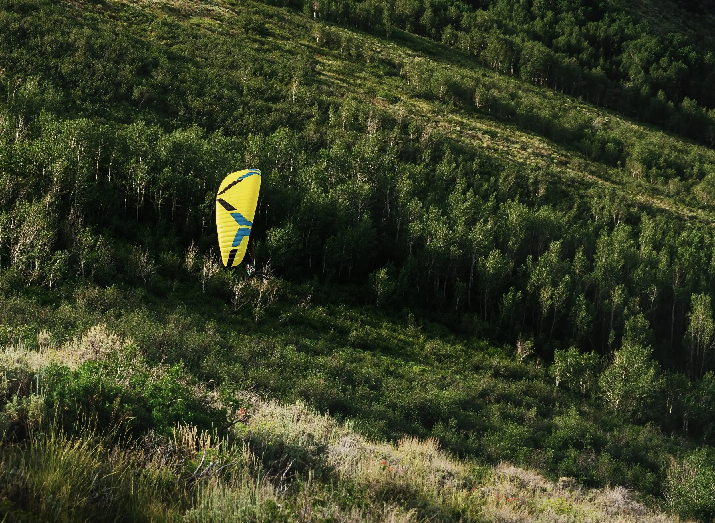 Ozone LiteSpeed 3 Speedwing