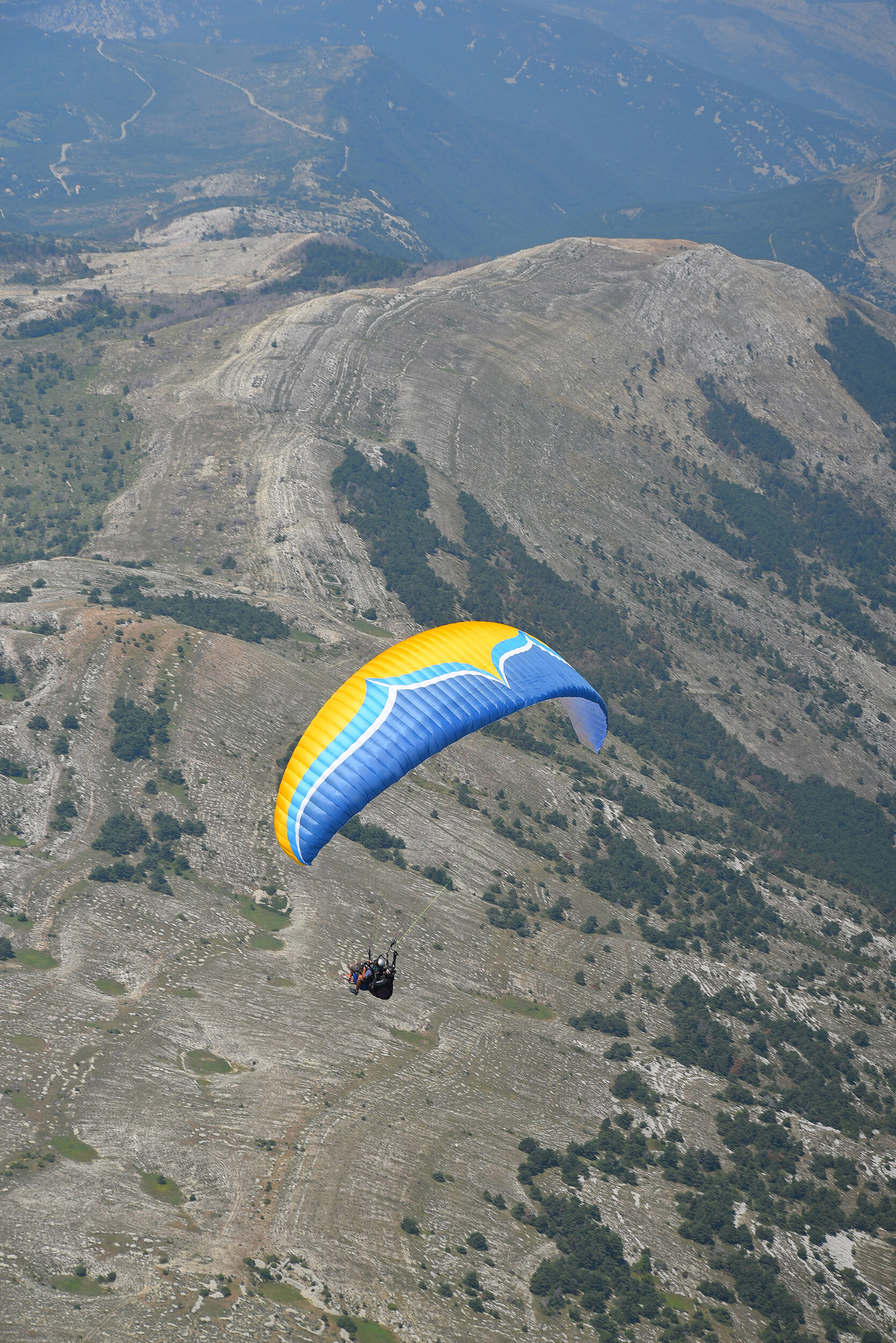 Ozone Magnum 3 Paraglider