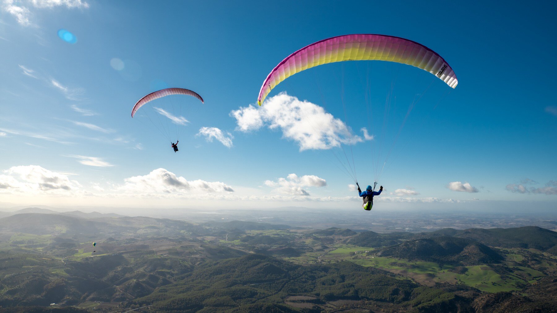 Ozone Mojo 6 Paraglider