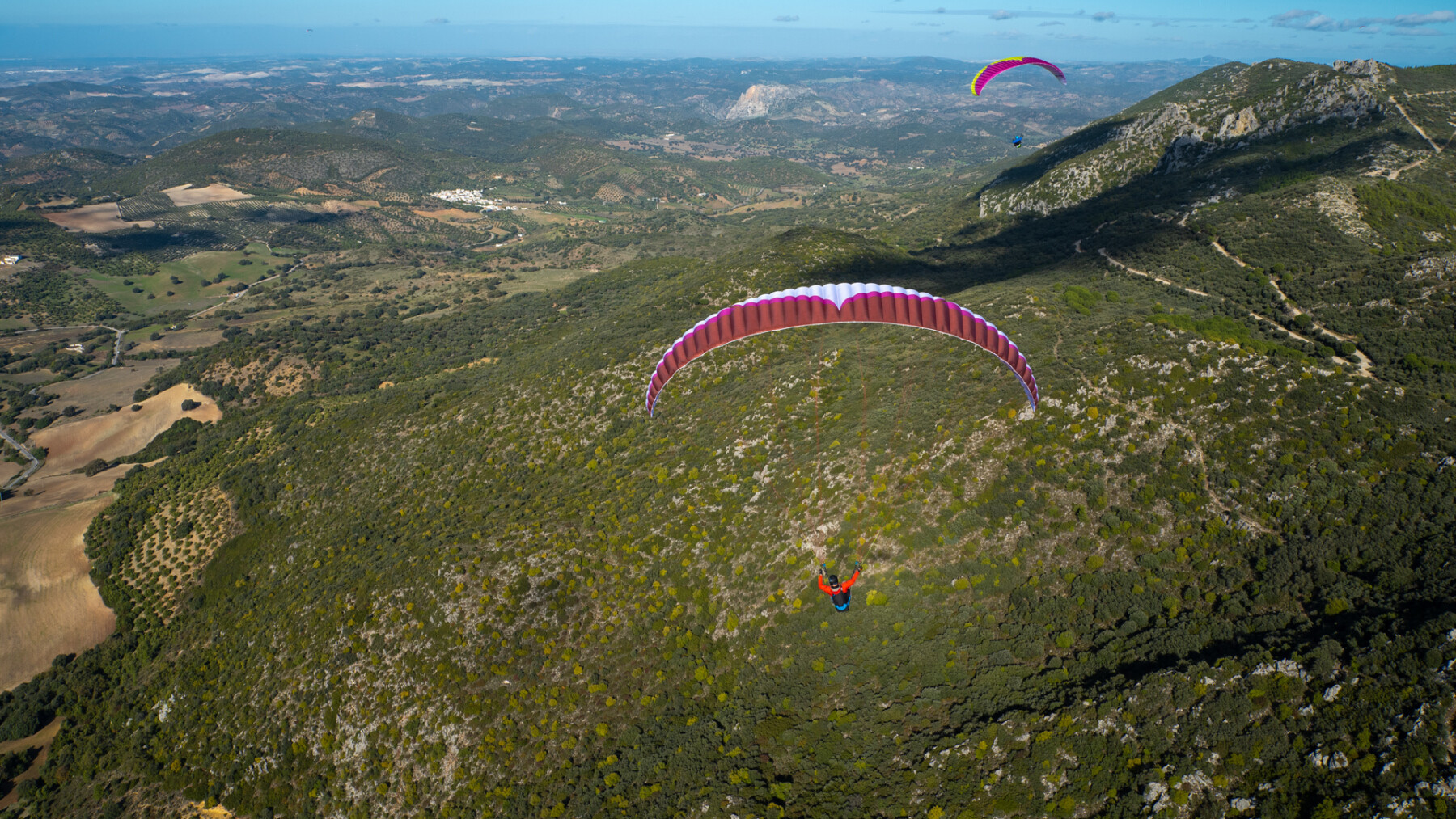 Ozone Mojo 6 Paraglider