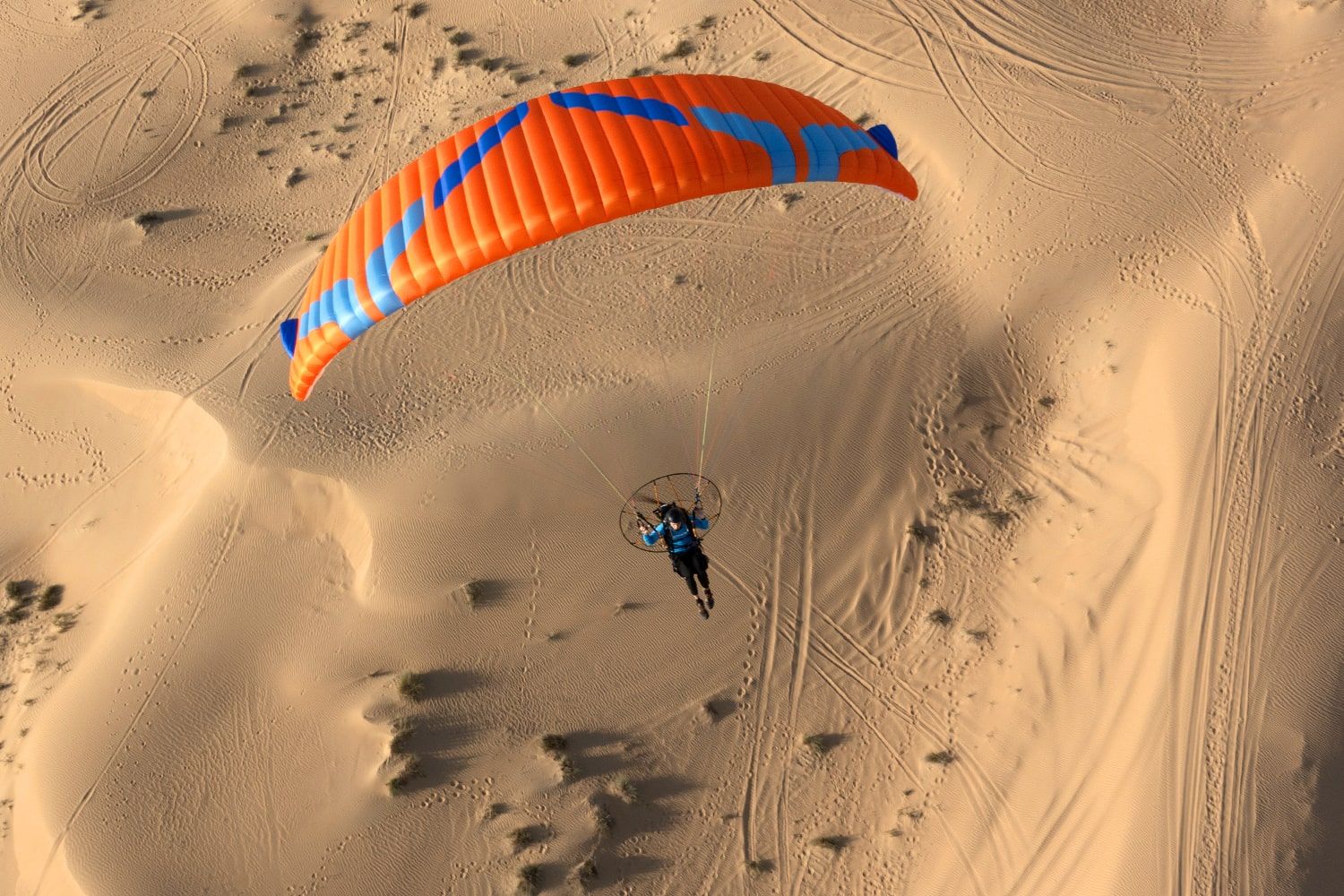 Ozone Moxie Power Paramotor Wing
