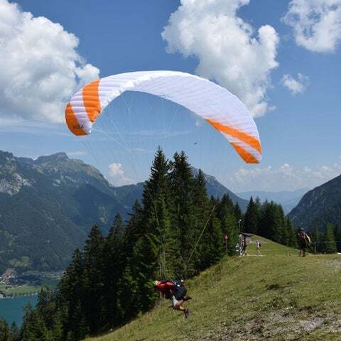 PHI VIOLA 12-16 (EN A+ LIGHT)