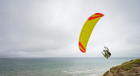 PHI VIOLA 12-16 (EN A+ LIGHT)